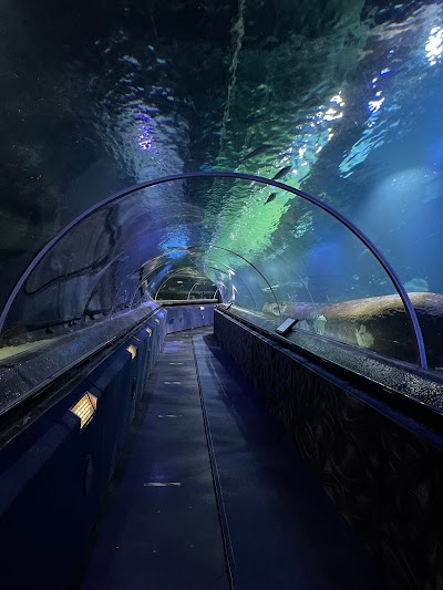 SEA LIFE Kelly Tarlton's Aquarium