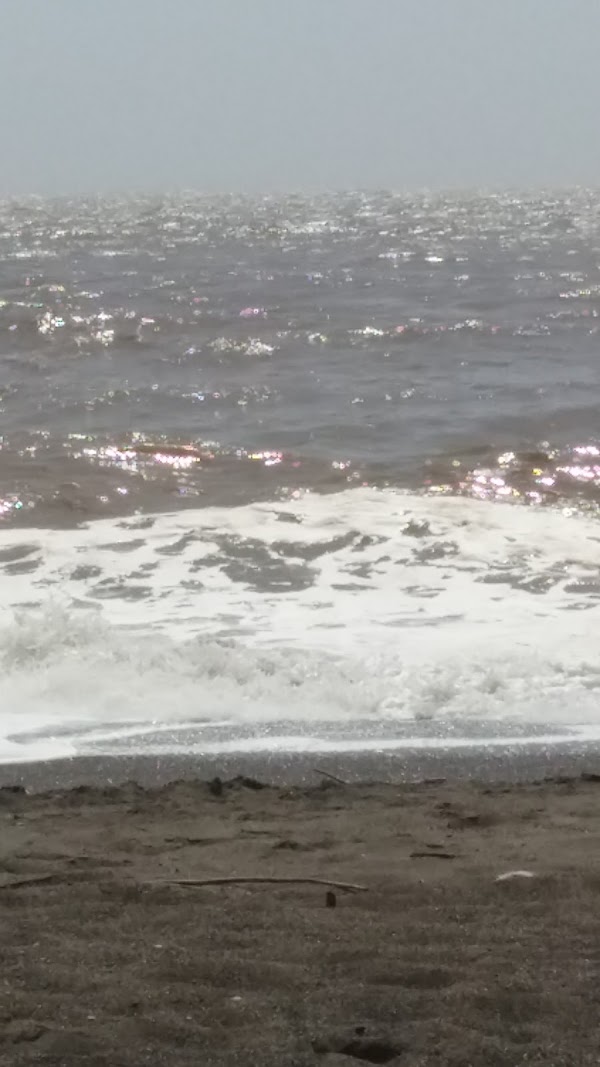Goat Rock Beach 3