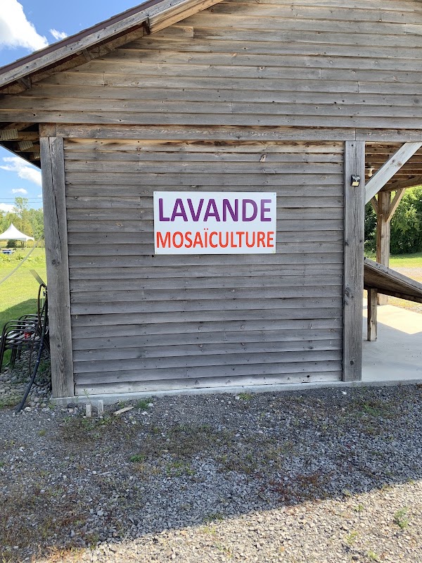 Champs De Rêves