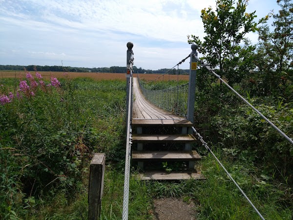 Hängbron