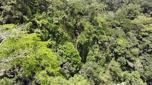 Jagasatru Waterfall