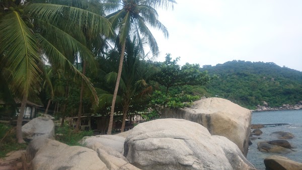 Ao Hin Wong 4