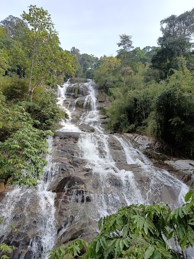 Lata Kinjang