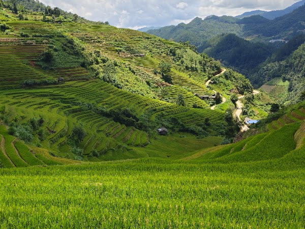 Rice Tray Viewpoint Mâm Xôi