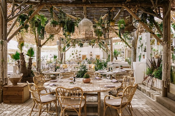 Shellona - St Tropez