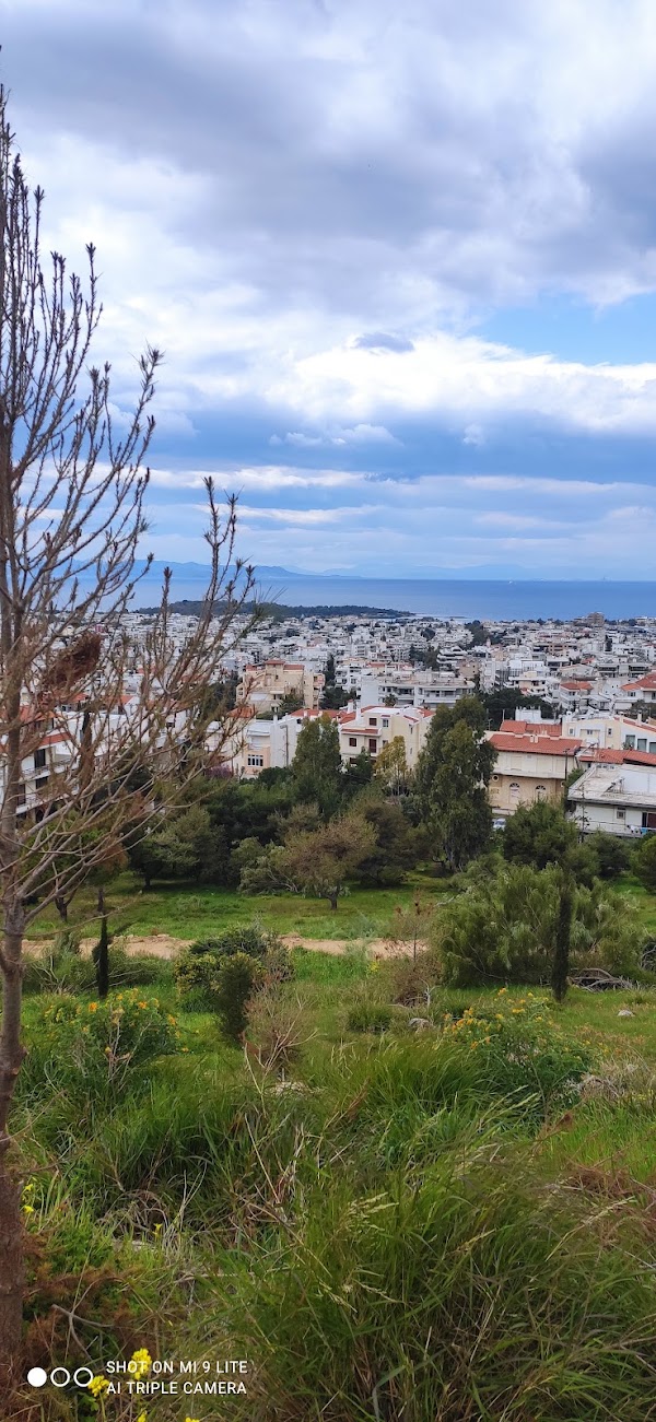 Athens 8