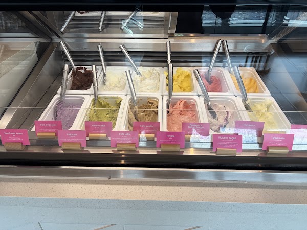 JAM17 GELATERIA 4