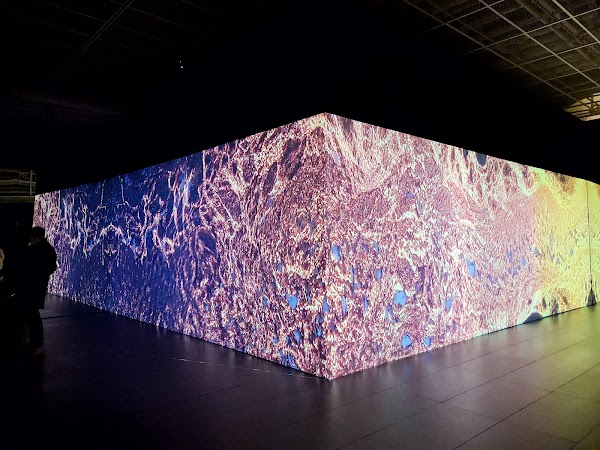 Lotte Museum of Art 5