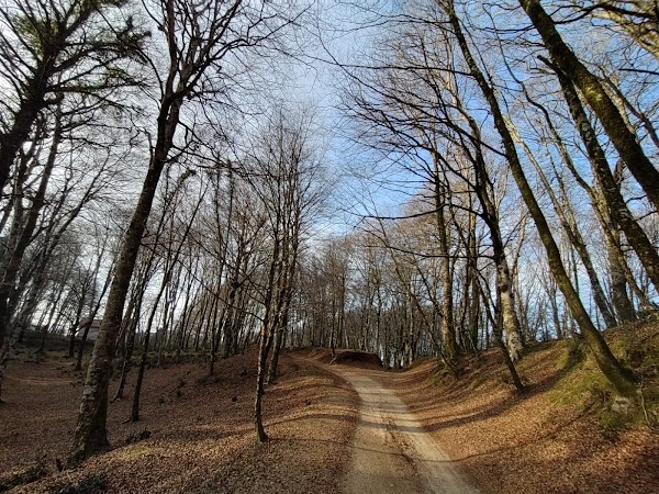 Aspromonte