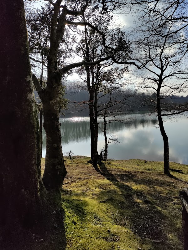 Aspromonte 2