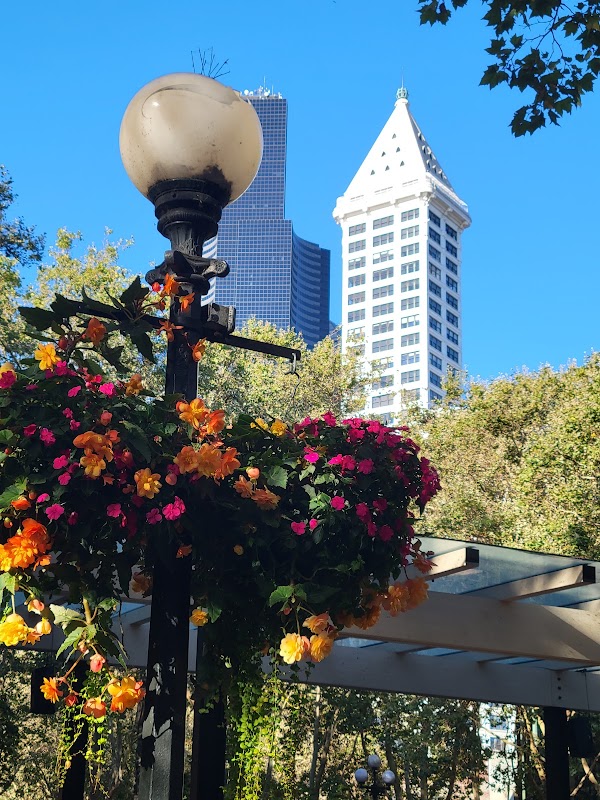 Pioneer Square 5