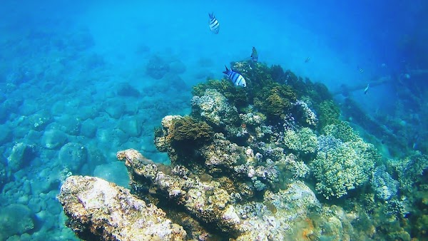 Japanese Ship Wreck Point 5