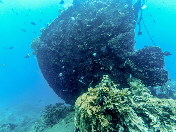 Japanese Ship Wreck Point 4