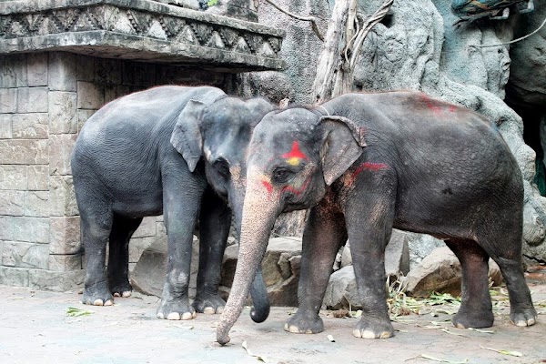 Safari World Bangkok