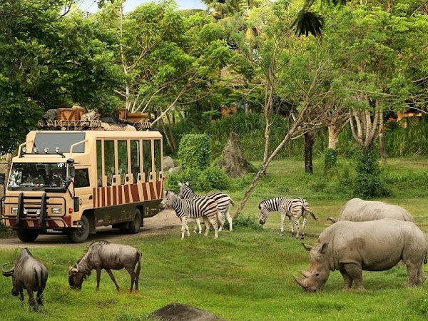 Safari World Bangkok 2