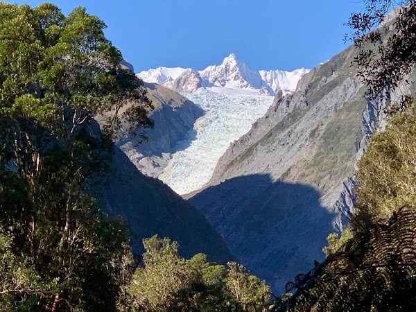 Fox Glacier 3