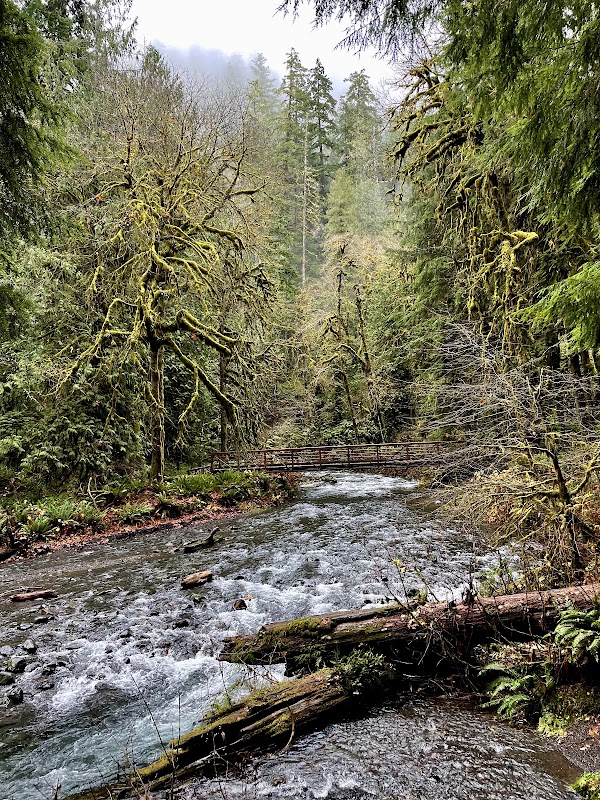 Marymere Falls 5