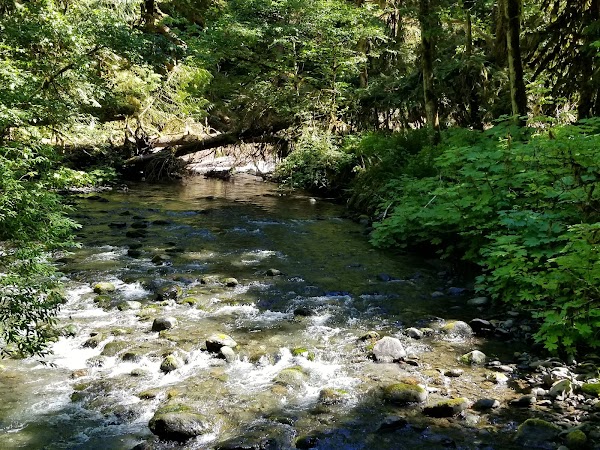 Marymere Falls 3