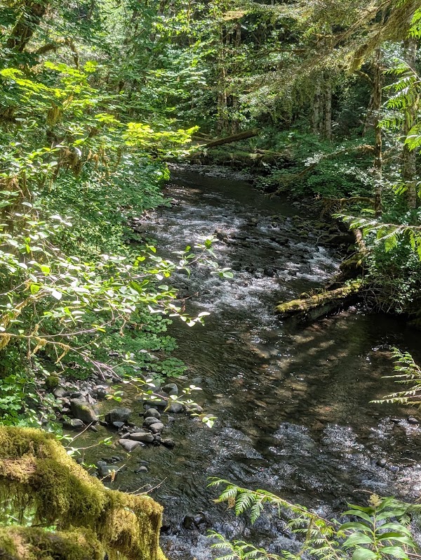 Marymere Falls 2