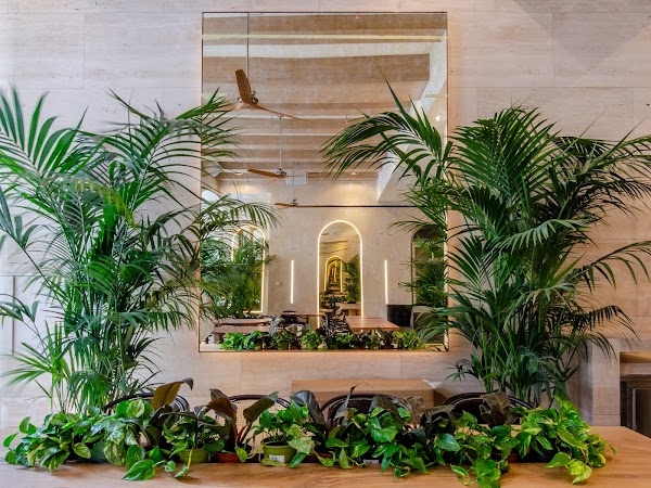 Brown's | Avenue Hotel