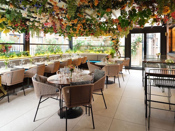 The Secret Garden @ The Alex Hotel