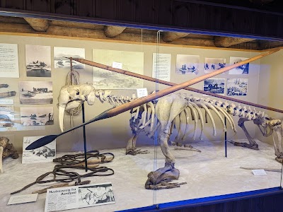 The Polar Museum