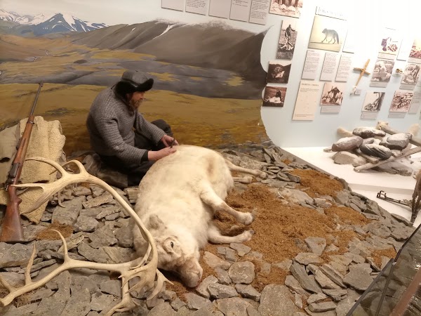 The Polar Museum 5