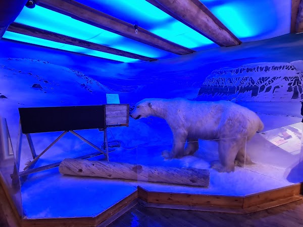The Polar Museum 2