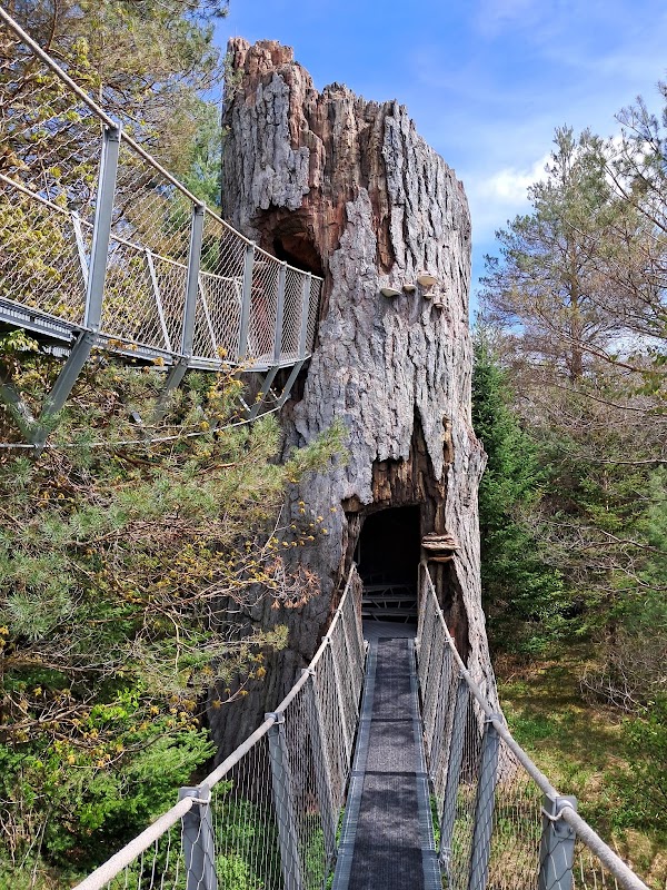 The Wild Center 3