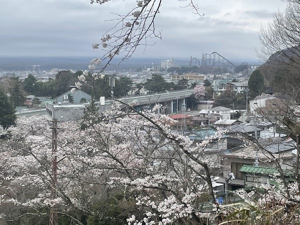 Chureito Pagoda 3