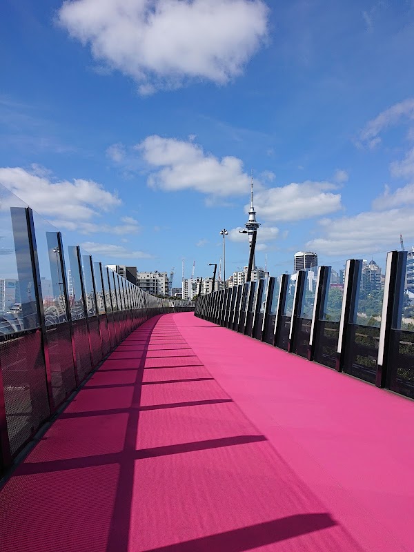 The Lightpath