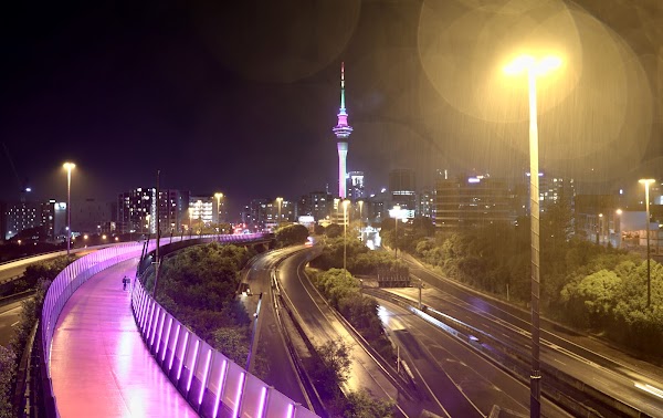 The Lightpath 5