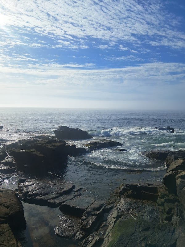 Ocean Path 5
