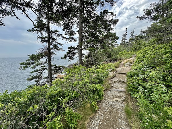 Ocean Path 4