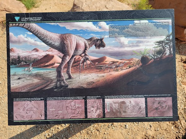 Potash Road Dinosaur Tracks and Petroglyphs 3