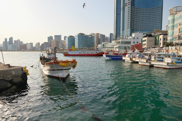 Mipo Port 5