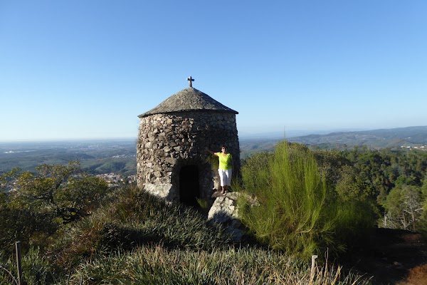 Buçaco National Forest 3