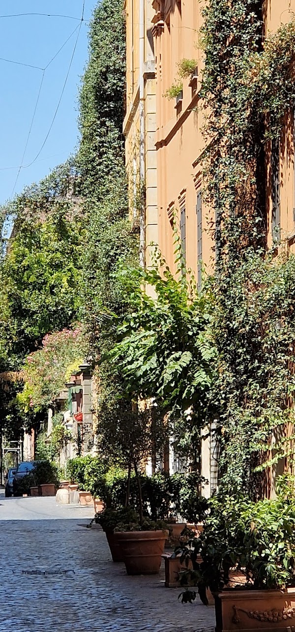 Via Margutta 5