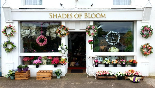 Shades of Bloom Floral Design