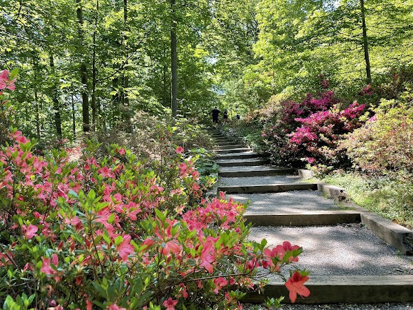 United States National Arboretum 4