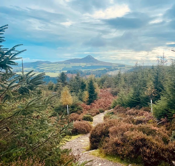 Sugarloaf 2