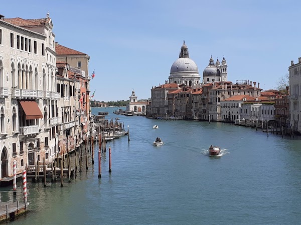 Gallerie dell'Accademia 3