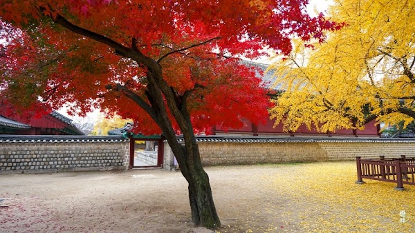 Myeongnyundang (Scholar Hall), Seonggyungwan 3