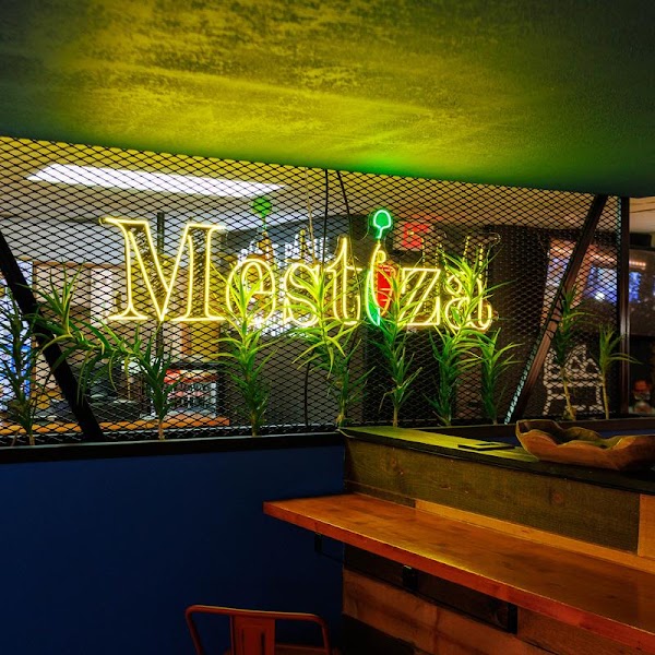 Mestiza