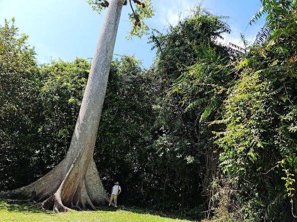 Tikal National Park 3
