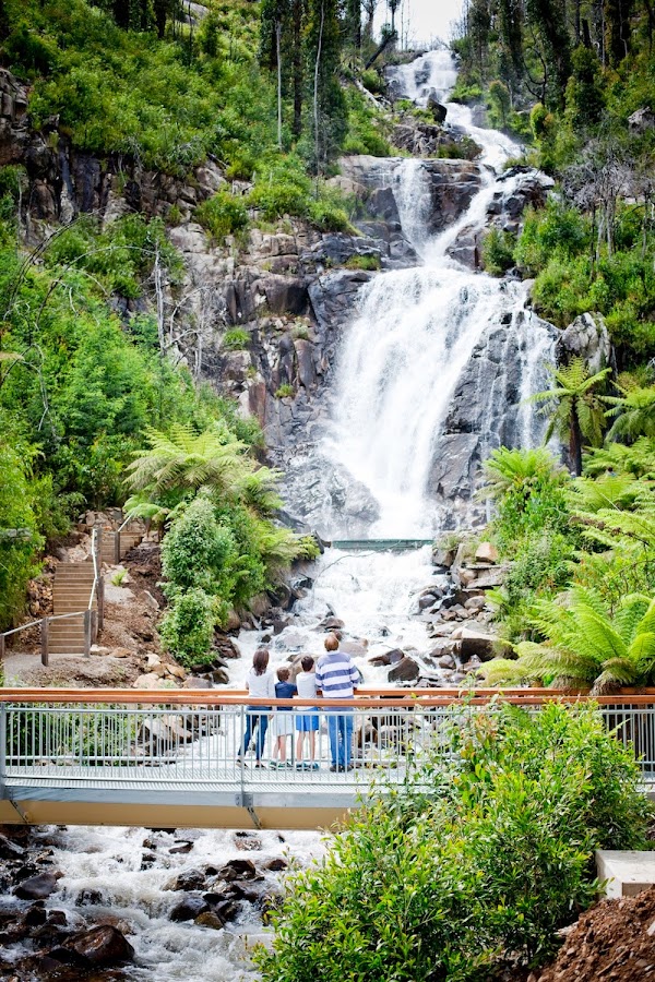 Steavenson Falls Reserve