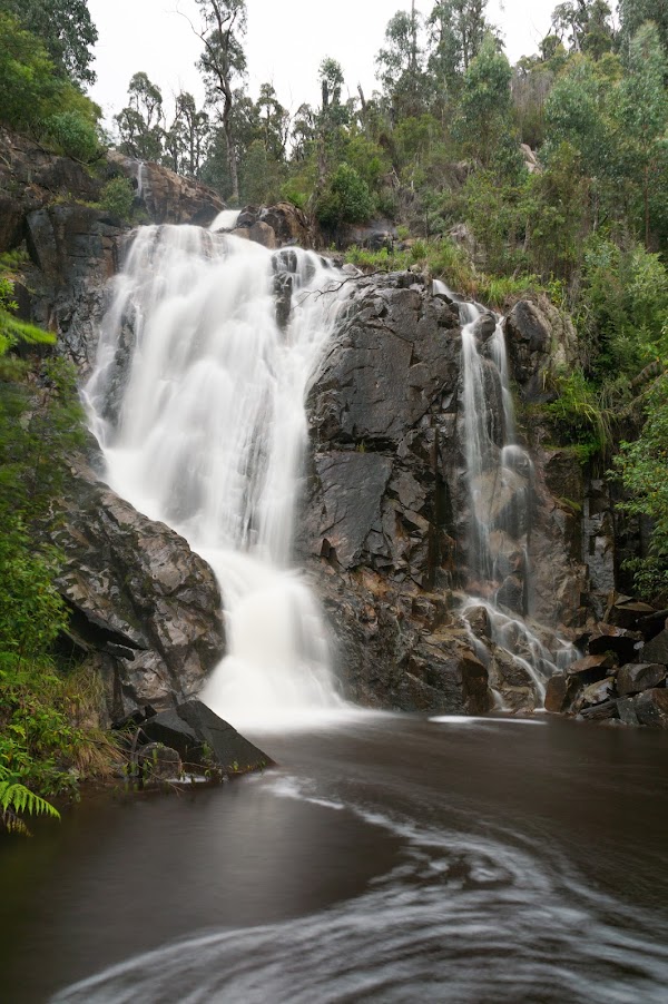Steavenson Falls Reserve 5