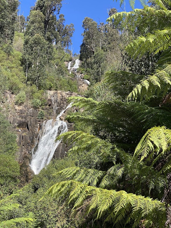 Steavenson Falls Reserve 4