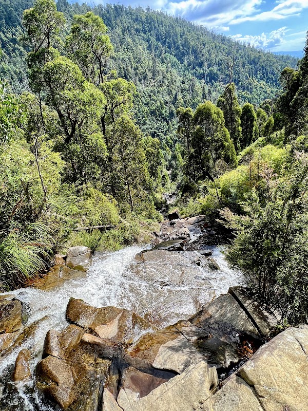 Steavenson Falls Reserve 3