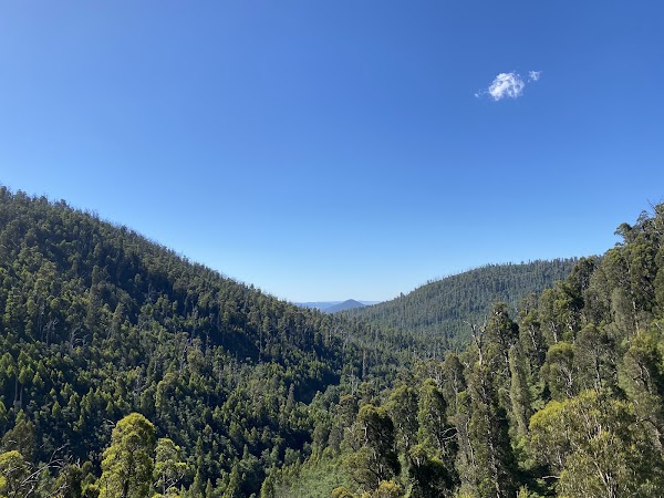 Steavenson Falls Reserve 2